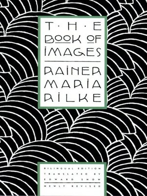 cover image of The Book of Images